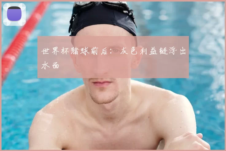 世界杯赌球前后:灰色利益链浮出水面