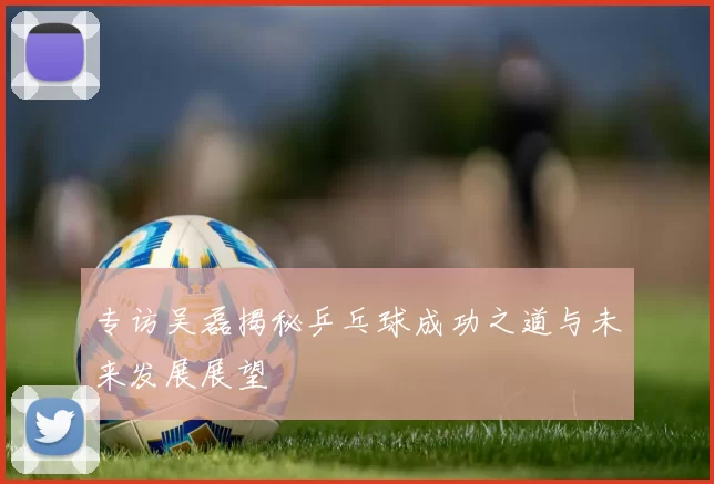 专访吴磊揭秘乒乓球成功之道与未来发展展望