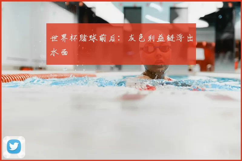 世界杯赌球前后:灰色利益链浮出水面