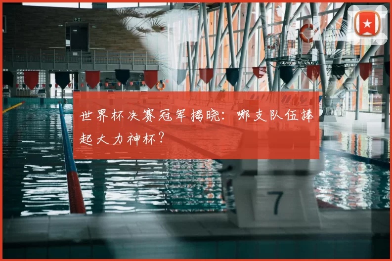世界杯决赛冠军揭晓：哪支队伍捧起大力神杯？